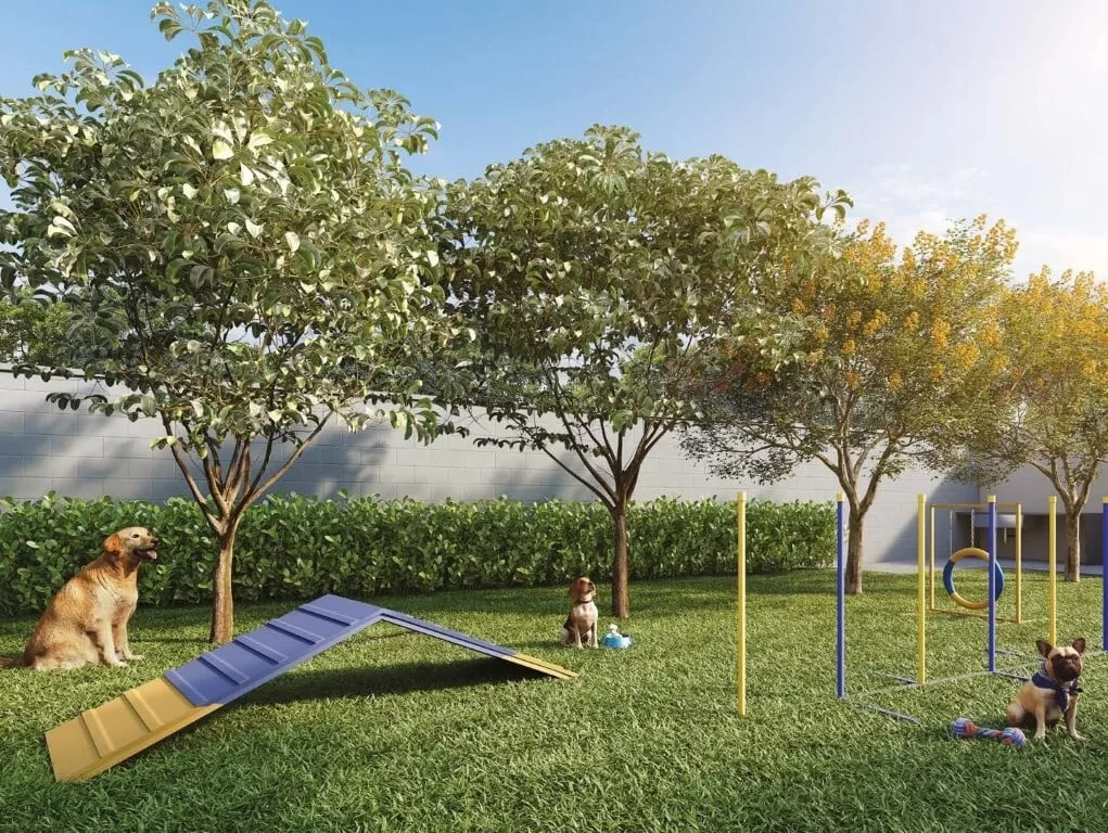 Cidade Mooca - Pet Place