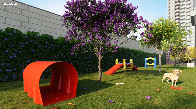 Arte Santa Marina - PetPlace