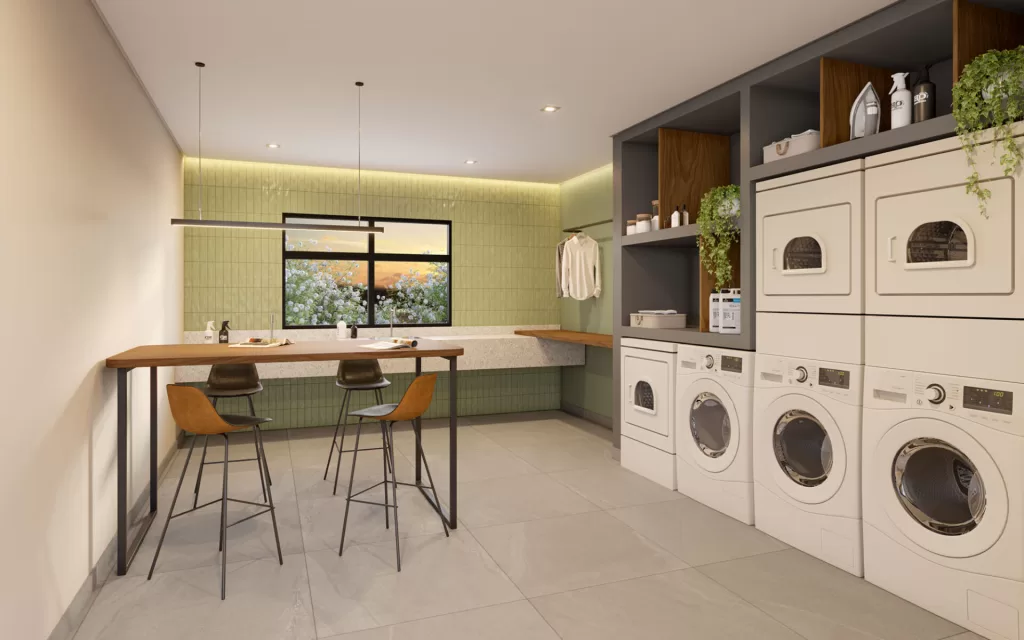 Arvo-Teixeira-da-Silva-Lavanderia