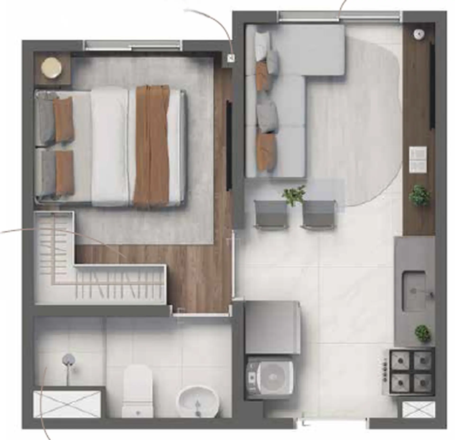 Planta 4 – Vivaz Selection Laguna