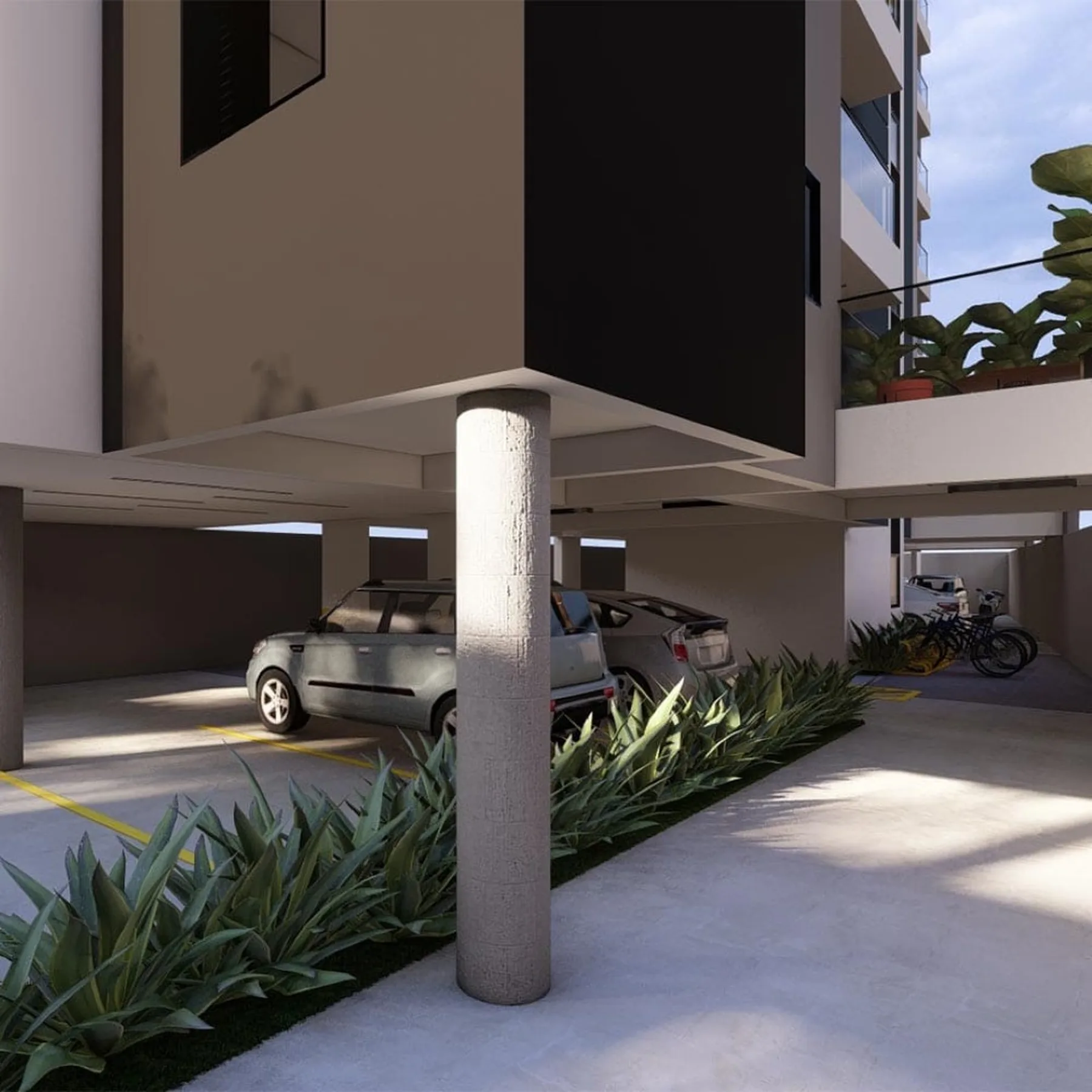 Figueiras da Praça — área de lazer 1